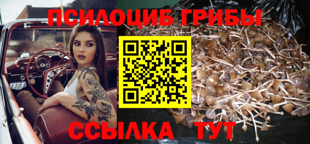 Новокубанск  Галлюциногенные грибы MAGIC MUSHROOMS  Вход с VPN 