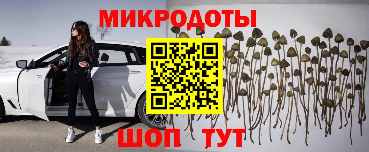 Псилоцибиновые грибы MAGIC MUSHROOMS Новокубанск
